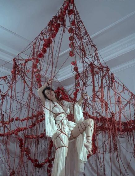 全员加速中 综艺_高清完整版BD