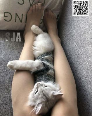 亚洲动作电影在线观看高清_国产剧高清免费观看