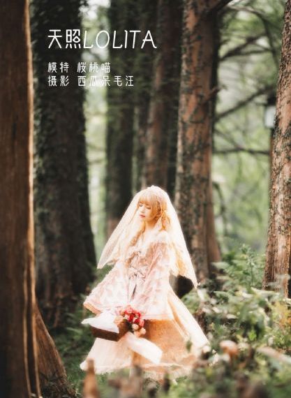 美味的女教师2_DVD电影完整版在线观看