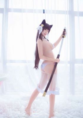 《苍狼》电视剧_DVD神马影院在线
