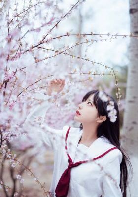 日本商务旅行戴的帽子日剧_720在线播放